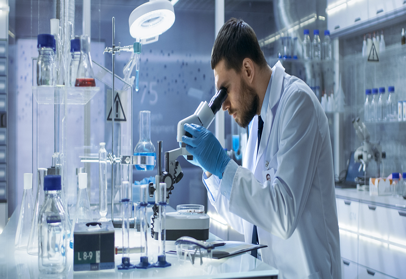 How is Small Molecule Contract Development and Manufacturing Organization (CDMO) Transforming with New Growth Opportunities?