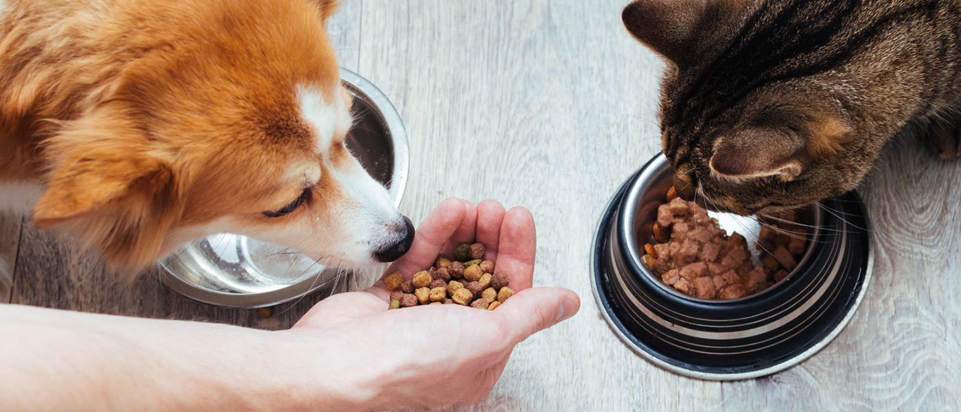 Innovative Developments Drive Growth of Pet Food Ingredients