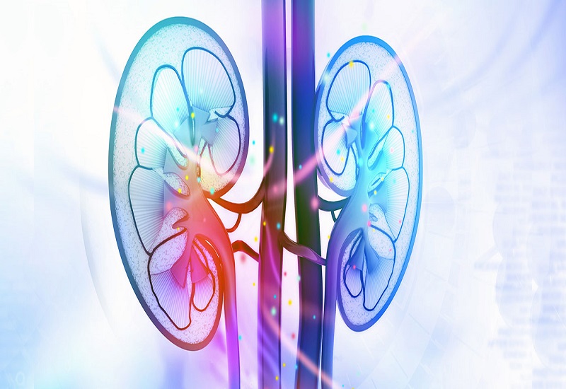 Renal Care Management: Smart Approaches Accelerate Growth