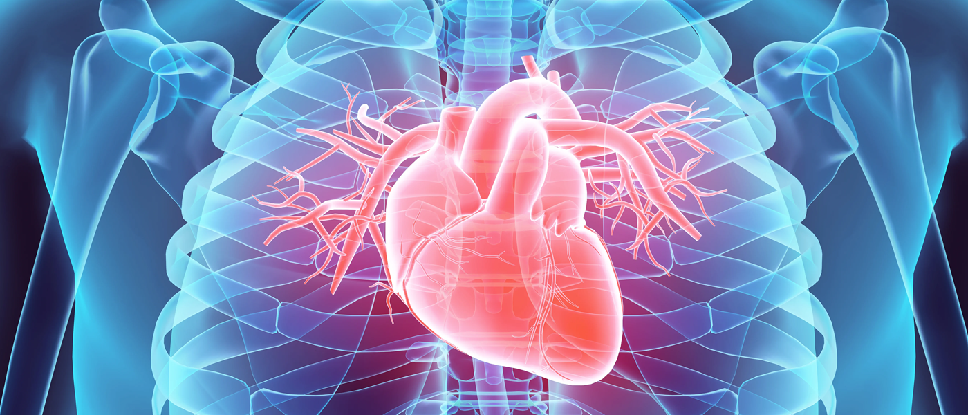 Structural Heart Devices: Latest Advancements Drive Massive Growth