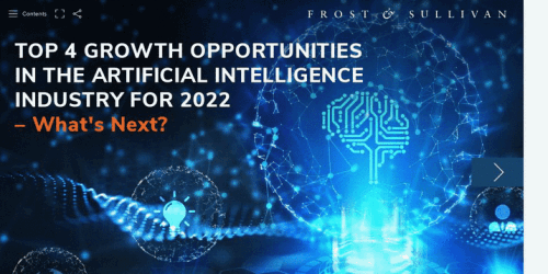 AI Growth Opportunities For 2022