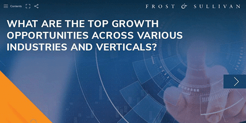 Top Growth Opportunities for 2022