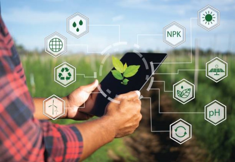 What is the Future Growth Potential for AI in the Agriculture Sector?