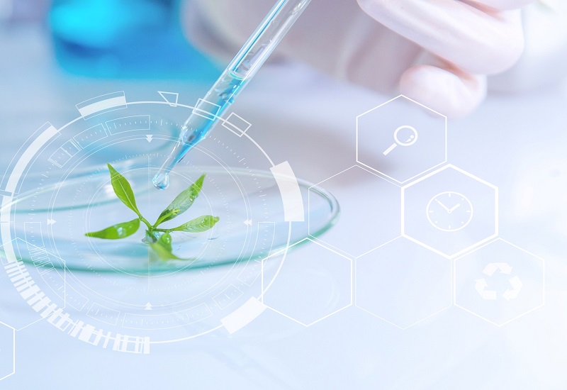 Global Cannabis Testing Sector: Innovative Growth Opportunities Revealed