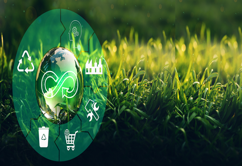 Global Waste Recycling and Circular Economy Sector: Which Key Players are Powering Growth?