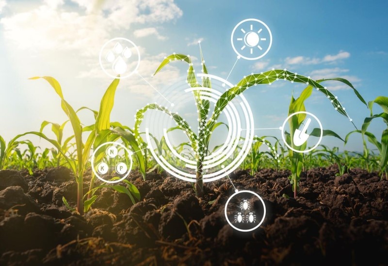 What are the Transformative Growth Hubs for AI in the Agriculture Sector?