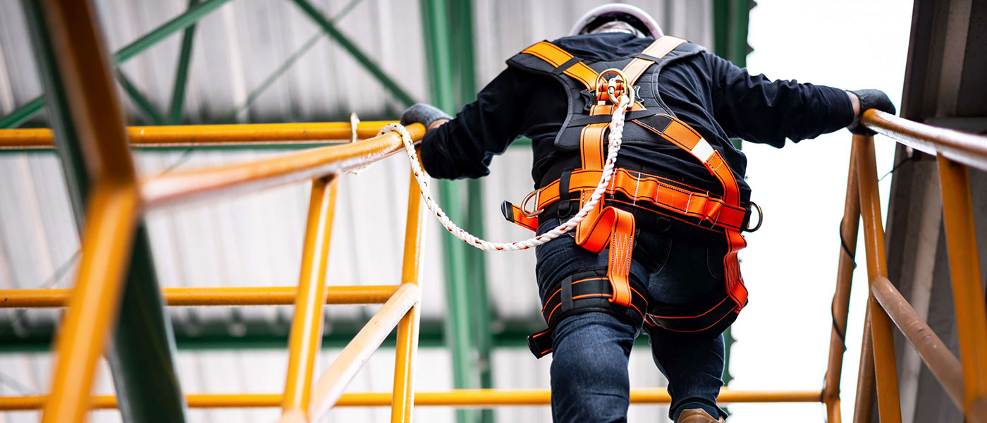 How is Competitive Intensity Influencing the Growth of North American Fall Protection?