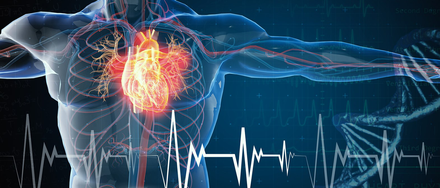 Innovative Growth Prospects Transforming the Global Structural Heart Devices Sector