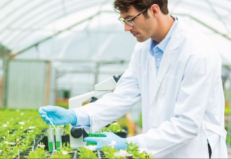 Agricultural Biologicals Industry: What Key Technologies Maximize the Growth Potential?