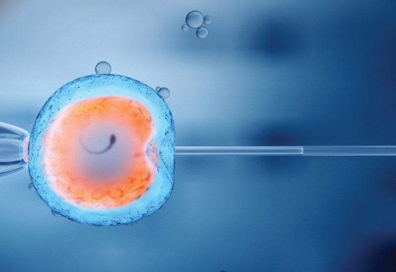 What are the Emerging Growth Opportunities Redefining In Vitro Fertilization Services?