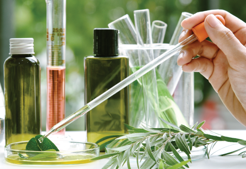 What are the Robust Growth Opportunities for the Botanical Ingredients Sector?