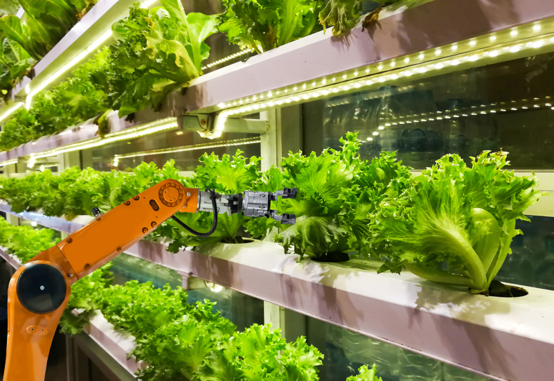 What are the Novel Growth Areas in the Global Vertical Farming Sector?