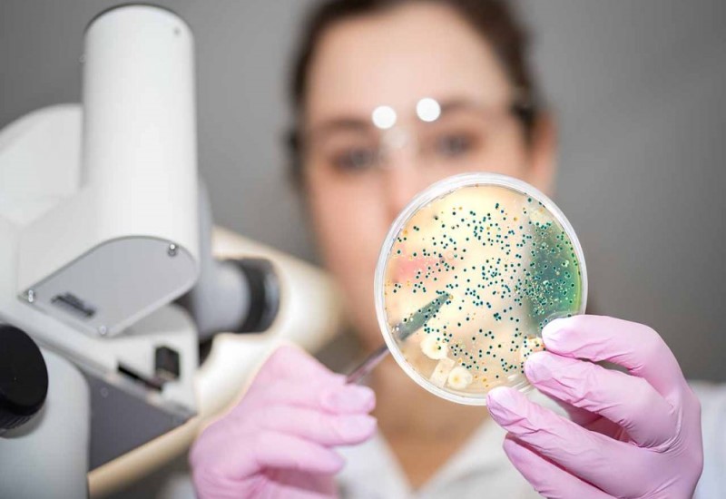 Which Growth Opportunities are Emerging from the Global Gut Microbiome Sector?