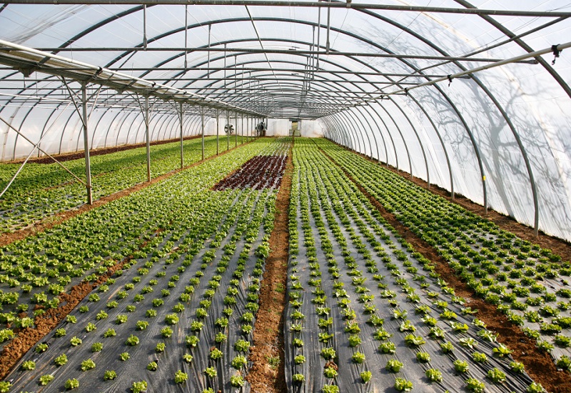Indoor Farming Systems