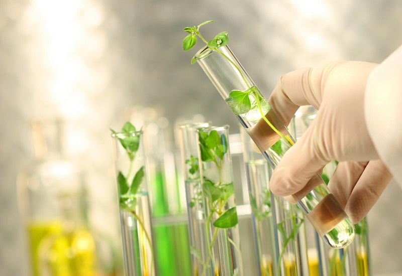 Bio-based Adhesives: Which Innovations are Revealing Game-changing Growth Opportunities?