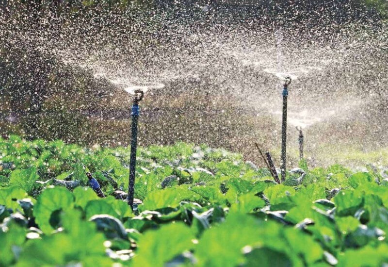 What Opportunities Are Arising from the Sustainability and Circular Economy in Irrigation Systems?