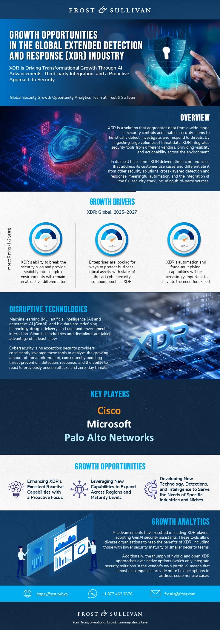 Growth Opportunities in Security