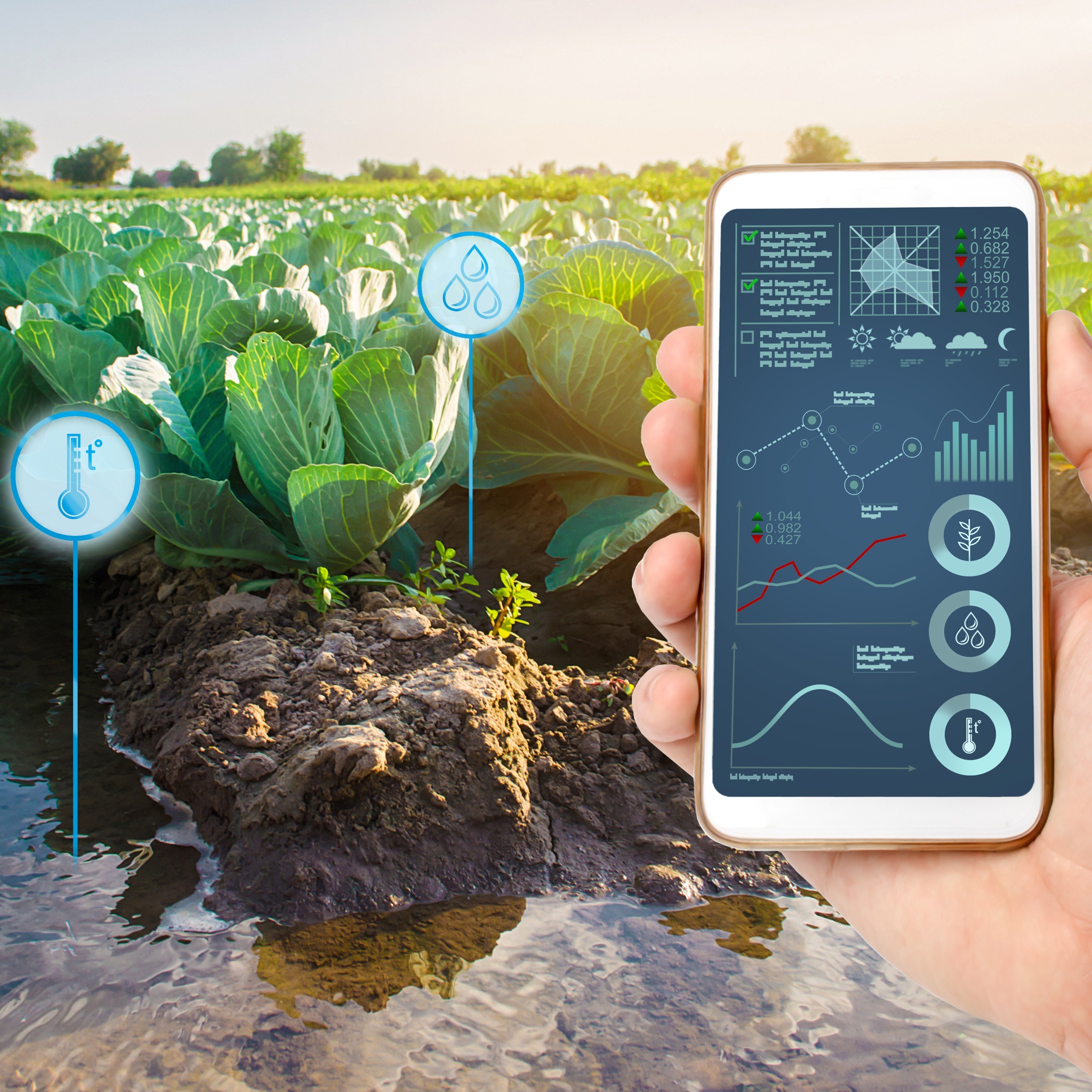 Top Growth Opportunities in Water Management